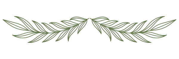 Where to invest in Puerto Morelos