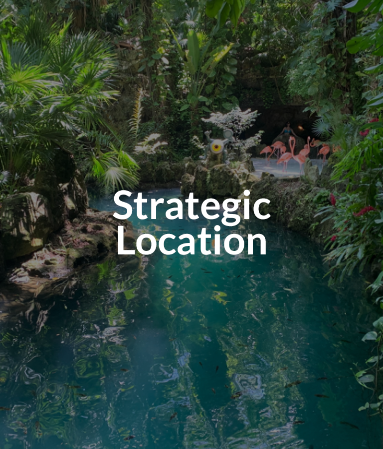 Puerto Morelos investment opportunity with Strategic location