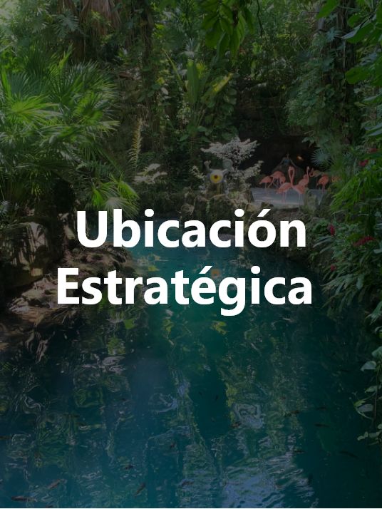 Ubicación estrategia de selva escondida