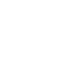 Palmas Grupo Miraro